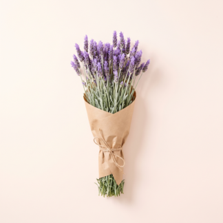 French Lavender Bunch